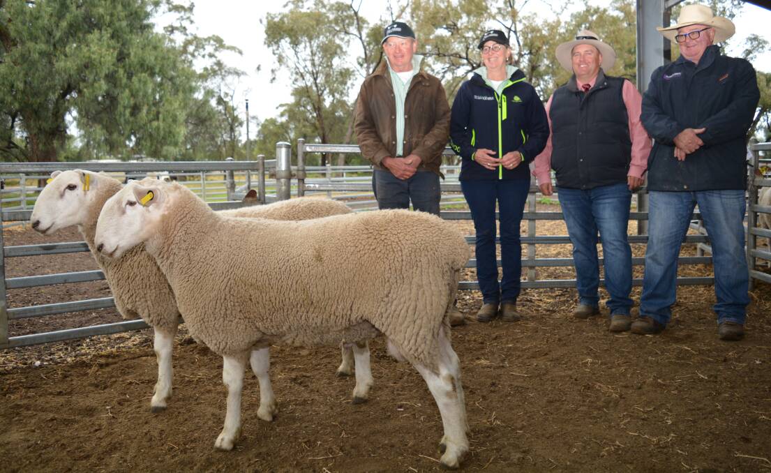 Craig and Jenny Bradley, New Armatree stud, Armatree, with auctioneers Matt Prentice, Elders Coonamble, and Steve Colwell, Halcroft and Bennett, Gulargambone, with the $7000 top-priced flock ram and (back) a $6000 stud ram.