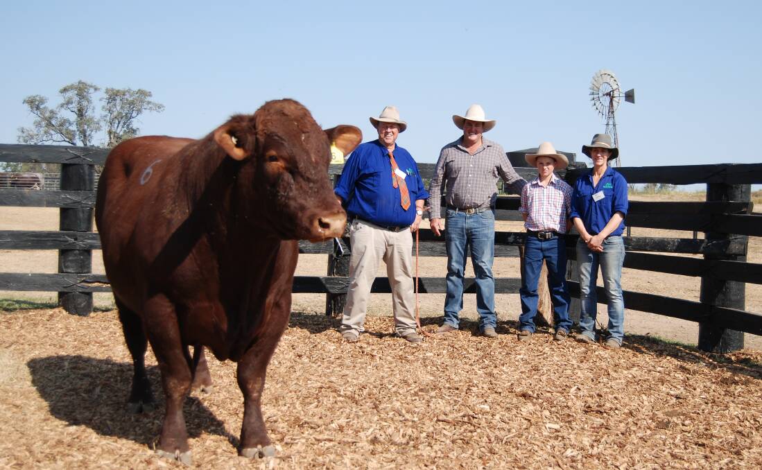 The $20,000 sale topper, Weebollabolla Lincoln L98, with vendor Sandy Munro, buyer Spencer Morgan, The Grove Shorthorns, Condamine, Queensland, his nephew, Goff, and vendor, Jen Jeffreys.