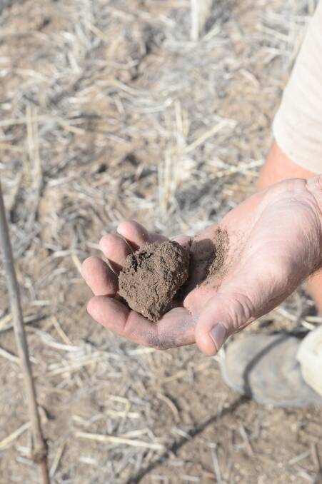 Look to our soils for long term insurance