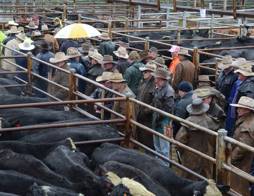 Beef needs prolonged highs for real benefit