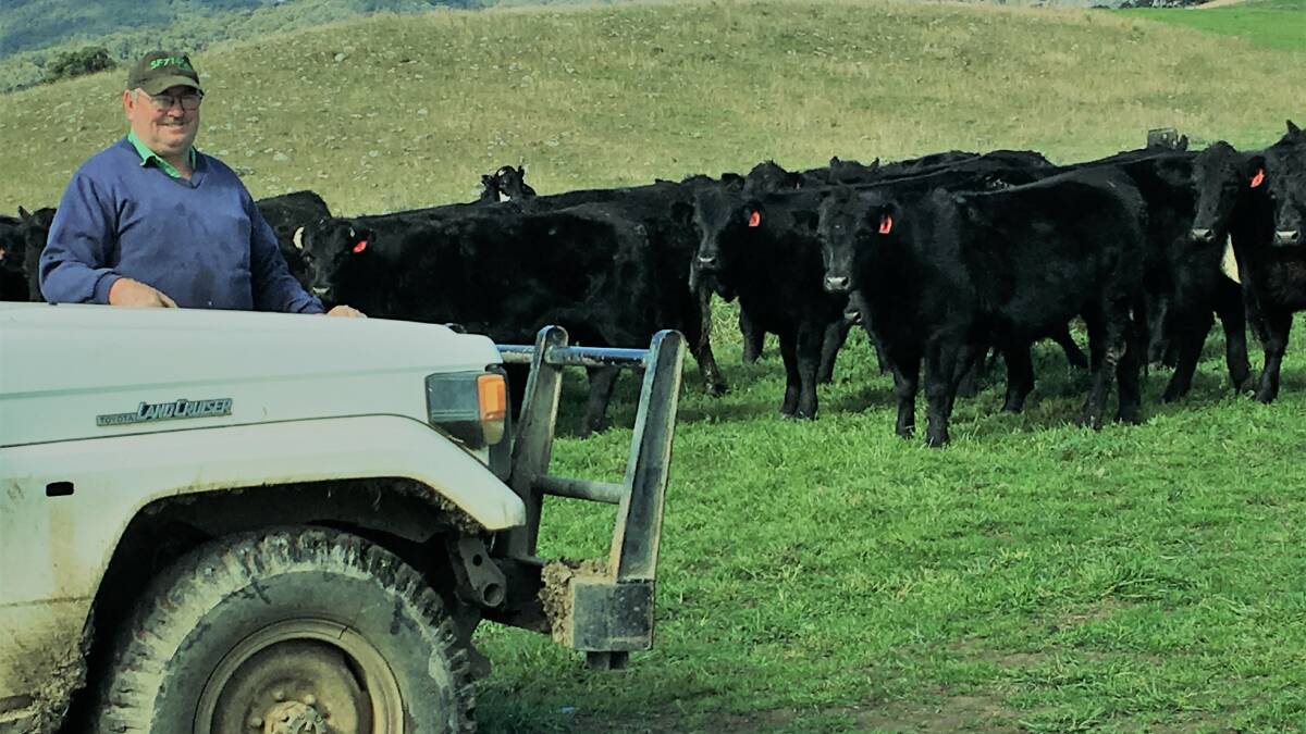Tony Jackson, Wallabadah, and some of his 700-head Angus-cross herd, which form the backbone of his family's business.