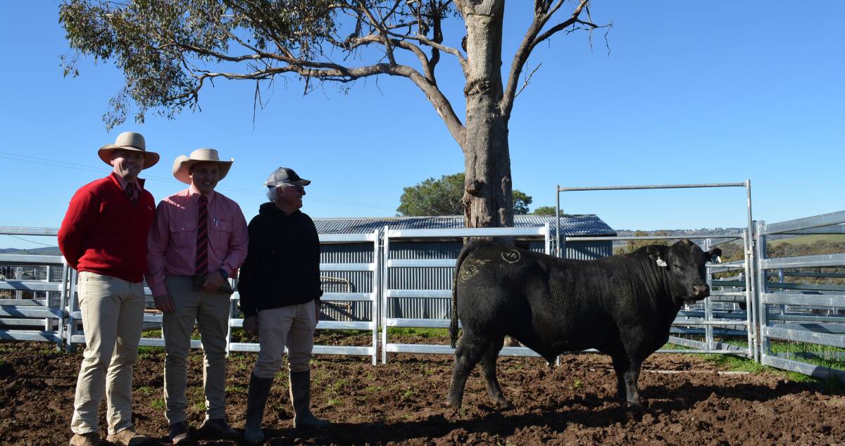 Jason Pearce, Elders Mudgee, with Lincoln McKinlay, Elders stud stock, Inverell, with vendor, Brian Powell, Yamba Angus, Orange, and the $24,000 sale topper, Yamba Geddes R3. 