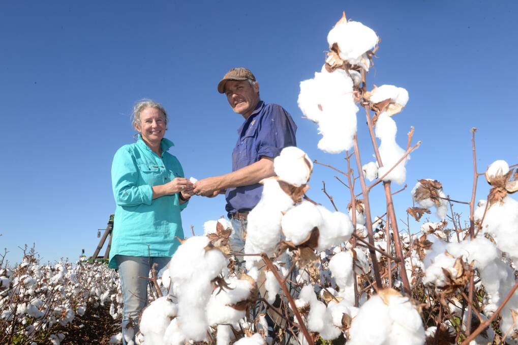 Trini and Jock Coupland, Wardry, Condobolin, check sicot 748B3F variety cotton being picked. Photo: Rachael Webb