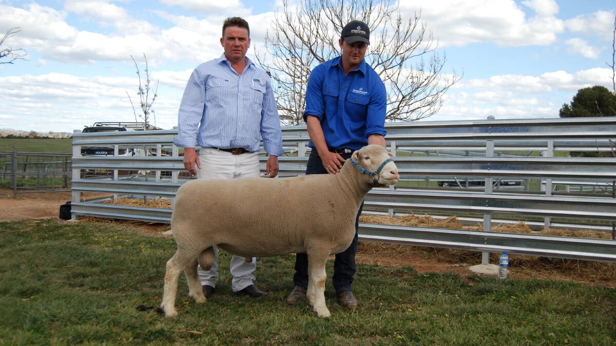 Auctioneer, Aaron Mackay, Delta Agribusiness, with Dane Rowley, Springwaters stud, Boorowa, and the sale's $16,000 ram that sold to Armdale Park stud, Marrar.
