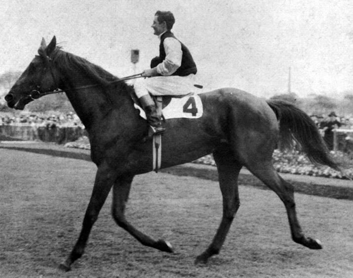 The hugely memorable racehorse, Tails, is recalled, a galloper which thrilled race-crowds in the late 1960s and 1970s. Photo: supplied