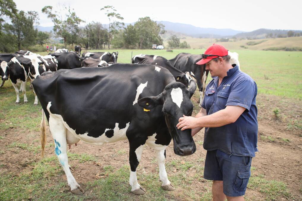 The Finch family, including Kelly Owen and brother Michael, have been farming at Albion Park on the NSW South Coast for 40 years. But now they are saying goodbye to their milk production business. Pictures: Adam McLean