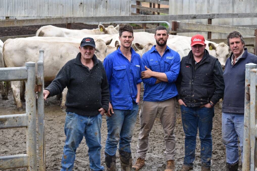 The Tullibardine Murray Grey breeding herd was sold to the Southend stud, Katanning, WA, last month. Going through the females at pregnancy scanning were Tullibardine stud principal Alastair Murray (left), Albany, WA, Southend stud's Kurt and Rick Wise, Katanning, WA, Elders, Donnybrook representative Pearce Watling and Clinton Wise, Southend.