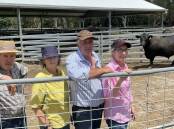 PRIME: Co-principals Colin Flanagan and Pat Ebert welcomed visitors from NSW and across Victoria, including Ray and Bev Parsons, Kyabram. Onlookers were interested in the 41 young bulls that will be offered at the on-property bull sale on 31 March. Known for their weight for age and carcase quality, Prime Angus is establishing a name as producing profitable genetics. Pictured with lot 13, R130 and 16 month old. 
“When you breed for pedigree, the EBVs just come,” Mr Flanagan said.  