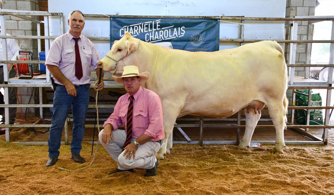 Graham Blanch, Charnelle Charolais, and Michael Smith, Elders Stud Stock, with the $14,000 sale topper which sold to Jonathan and Gaye Weeks, Warilla Charolais.