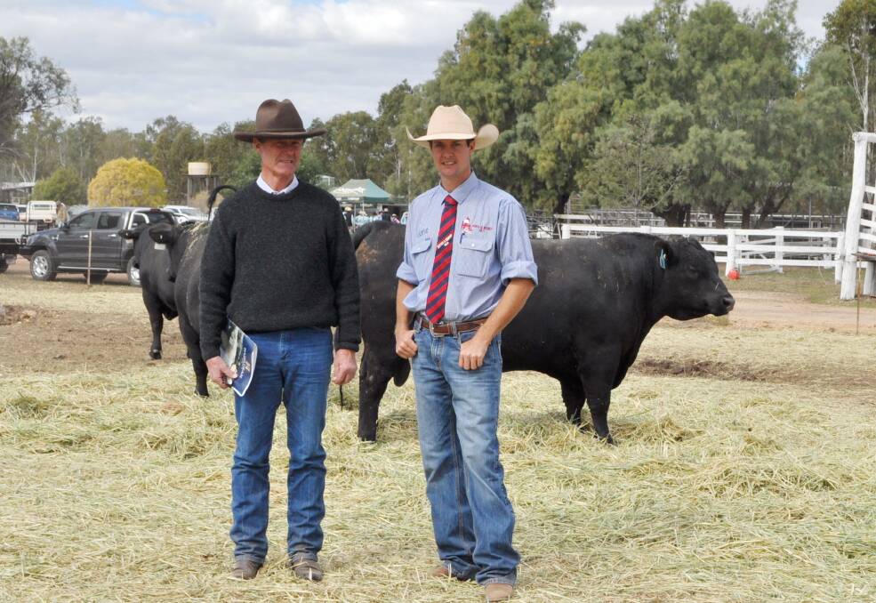 Jim Litchfield Hazeldean with Brad Passfield, Hourn and Bishop who bought bulls on behalf of Glen and Sheryl Connolly, Elwell Station, Prairie, North Qld
