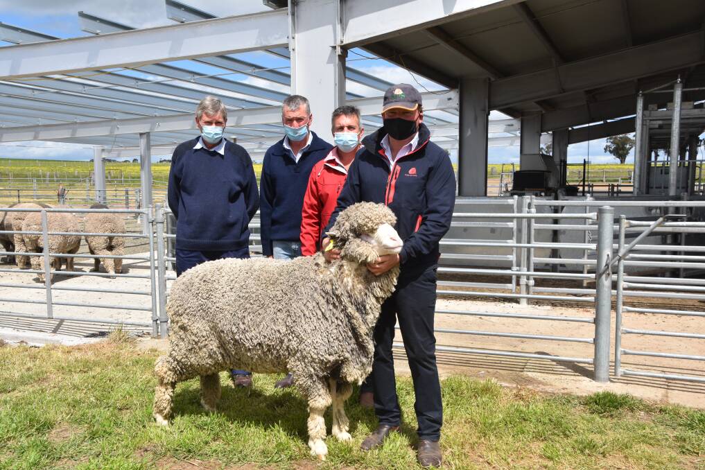 TOP SELLER: Top-priced ram buyers brothers Andrew and Clifton Tonissen, Balcairn, Branxholme, Elders stud stock specialist Sam Thring and Stud Park South Merino stud principal Pat Millear, with the top-priced ram.
