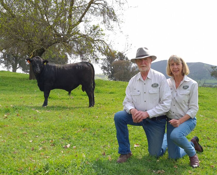 The Glen principals Mike and Joy Gadd, Walwa, Vic, and the $21,000 top-priced bull bought by Michael and Marion Blake, Winslade, Mt Stromlo, ACT. Photo: Charlie Gadd