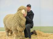 FIRST SALE: Glenpaen, Brimpaen, stud co-principal Rod Miller with his top priced ram, which was the first animal sold at the auction.