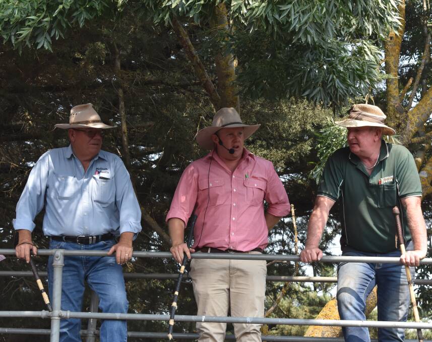 GREAT SALE: Kyneton agents agreed the May monthly store sale was one of the best at the yards, in a long time. File picture, prior to coronavirus restrictions.
