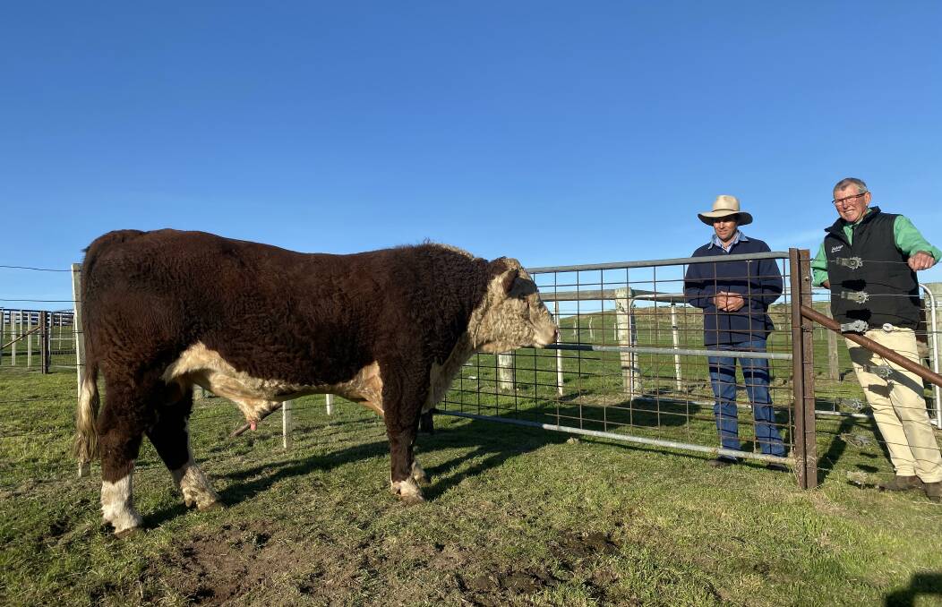 TOP SELLER: Philip Davie, Guildford Poll Herefords with Nutrien Ag Solutions Jock Gibson, and the top priced bull. . 