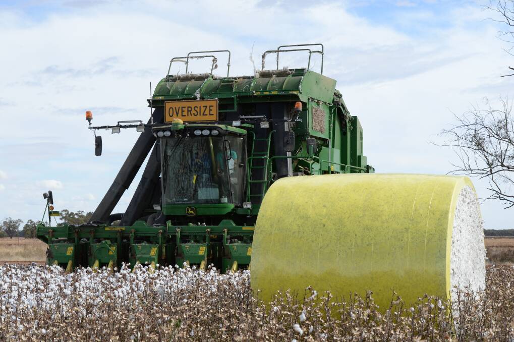 A range of positive factors could see Australian cotton output improve significantly in 2020-21 - possibly up 250 per cent from last year - to more than two million bales.