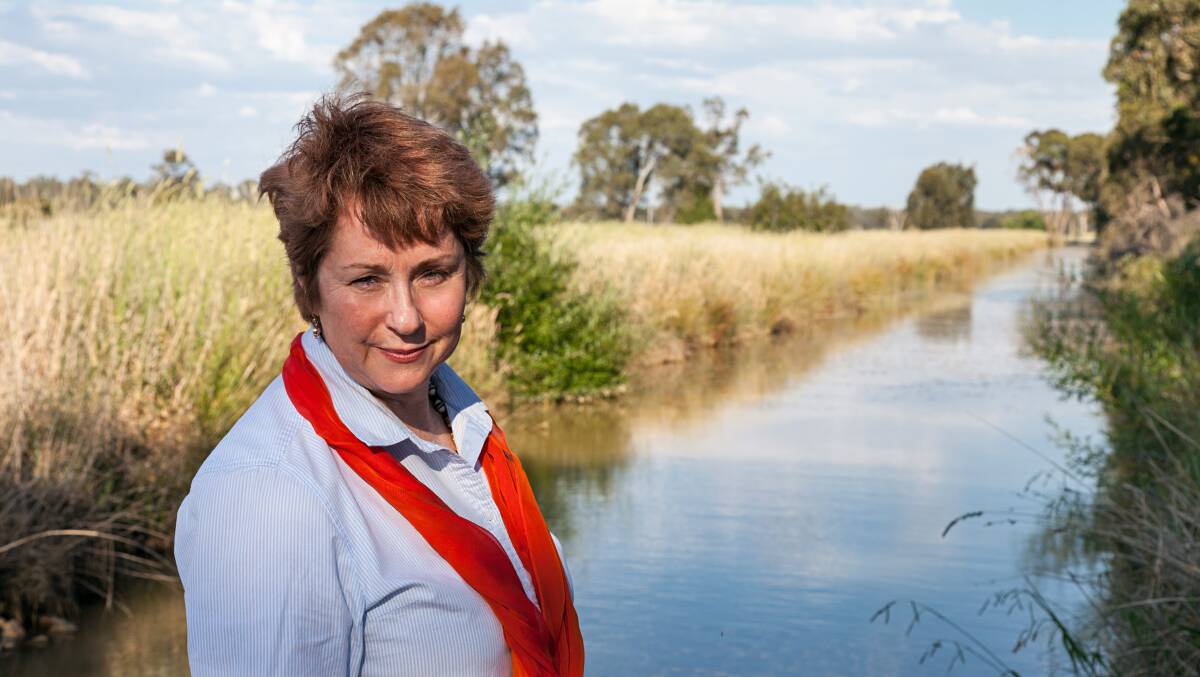 LEGISLATIVE INTEREST: Shepparton Independent MP Suzanna Sheed says she's taking great interest in a NSW bill on water share transparency, now going through parliament.