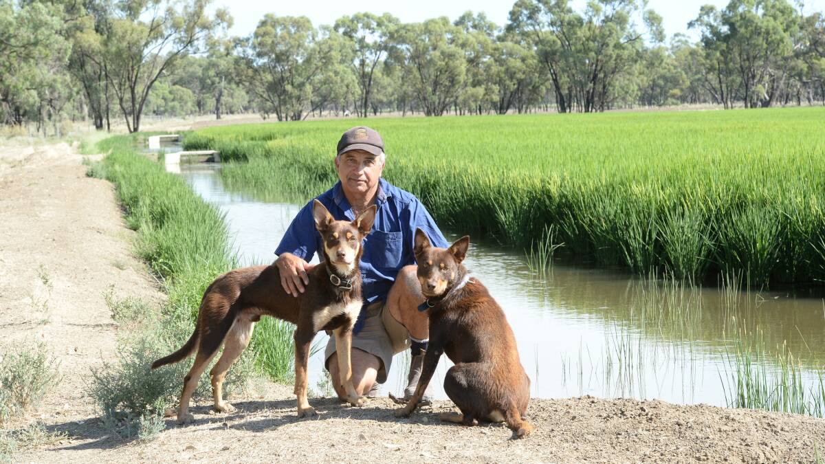 CONSISTENT MESSAGE: John Lolicato, Wakool River Association chairman, said irrigators and community groups on both sides of the Murray had a consistent message on environmental upwater. 