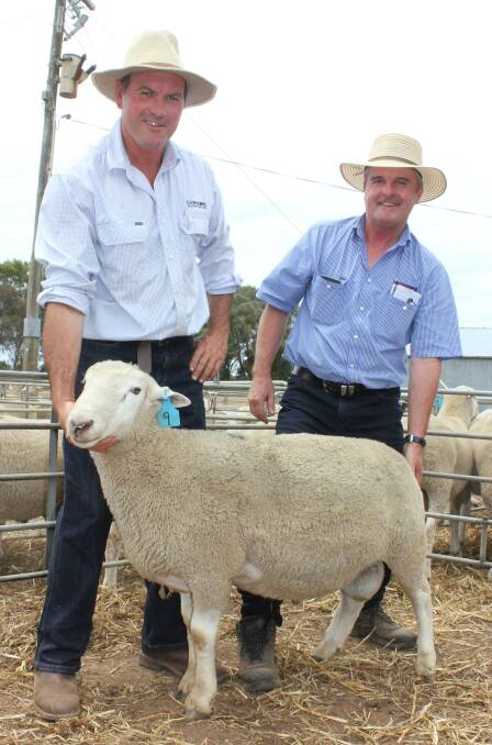 TOP RAM: The top priced ram, here with Matt Tonissen and Kerr and Co Livestock's Robert Claffey, went to Tom Farley, South Tahara Park, Wagga Wagga for $2,000.
