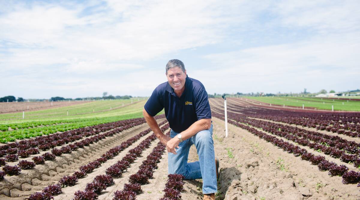 POOR COMMUNICATION: Ausveg chair and Lindenow vegetable grower, Bill Bulmer, says he's mystified as to why governments are slow to let seasonal workers, into the country.
