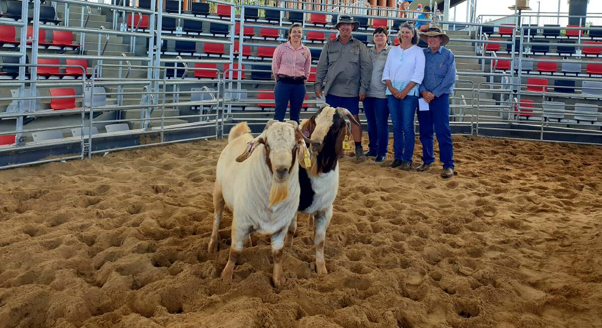 Sarah Packer, TopX, with Janelle Stanford, Anne and John McNamara, Glenmorgan, and Mike Stanford, and the two equal top selling goats at the Hendon Park Boer sale. Picture: Sally Gall