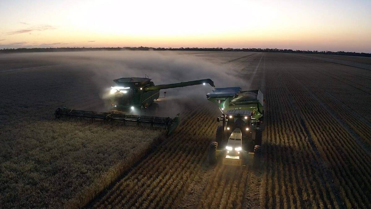 In the bin: Harvesters racing to get the Reliant wheat crop off at Dalby. Picture: Noel Rockliff