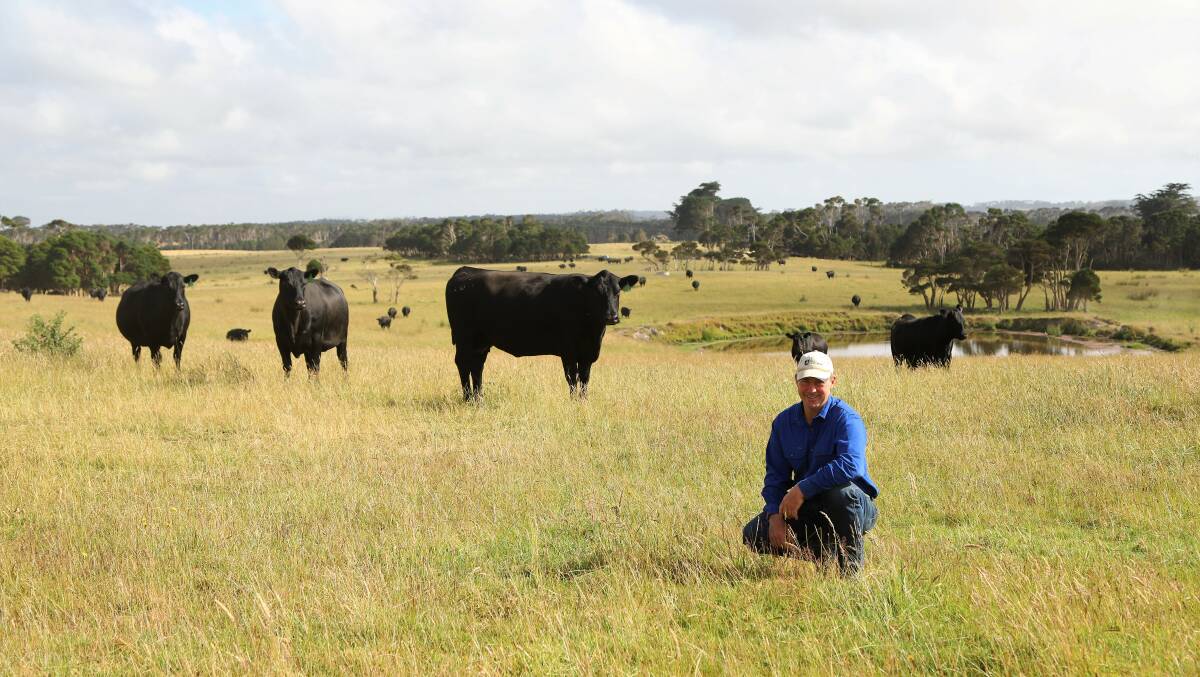 The Raff's cattle breeding operation on King Island, Tasmania is now certified organic, thanks to the reliable environmental conditions.
