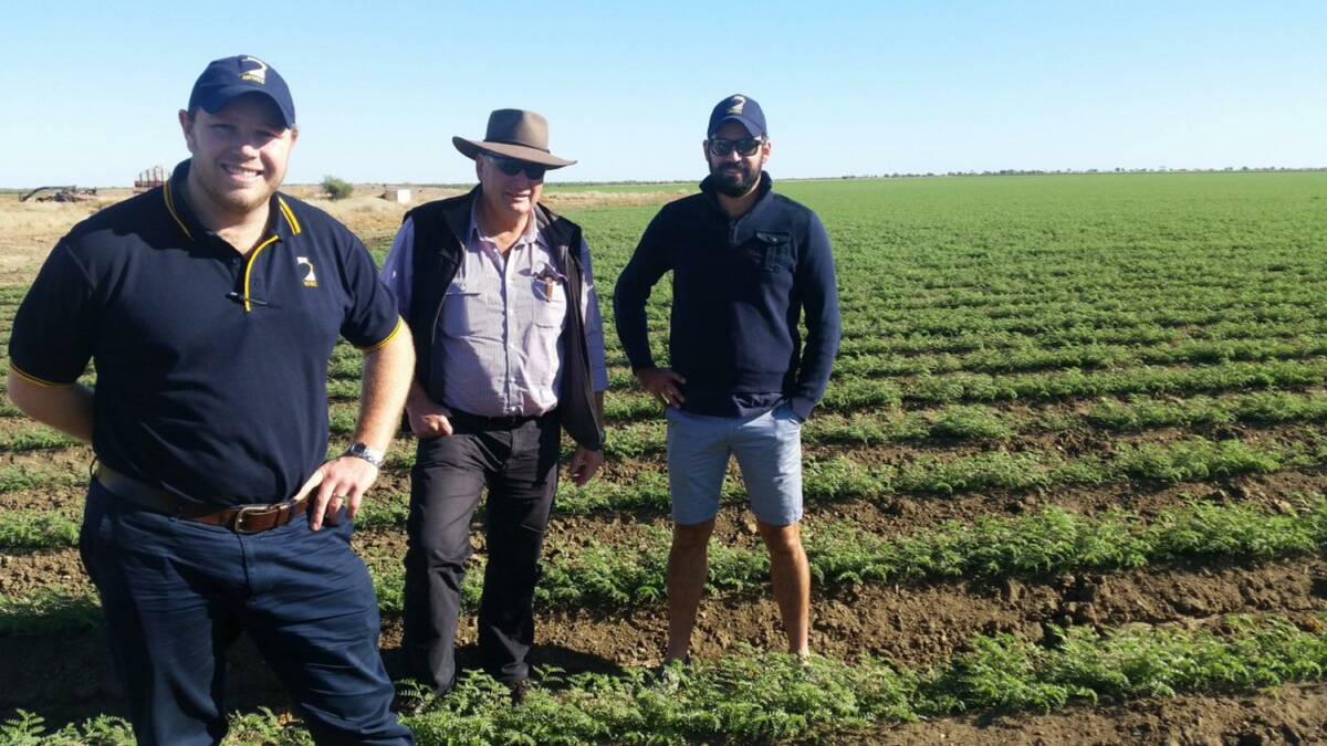In 2017 AgForce representatives Zach Whale (grains policy director), Kim Bremner (water spokesman) and Jordan Anderson (grains board director) inspected chickpeas under irrigation in the Flinders River catchment around Julia Creek.