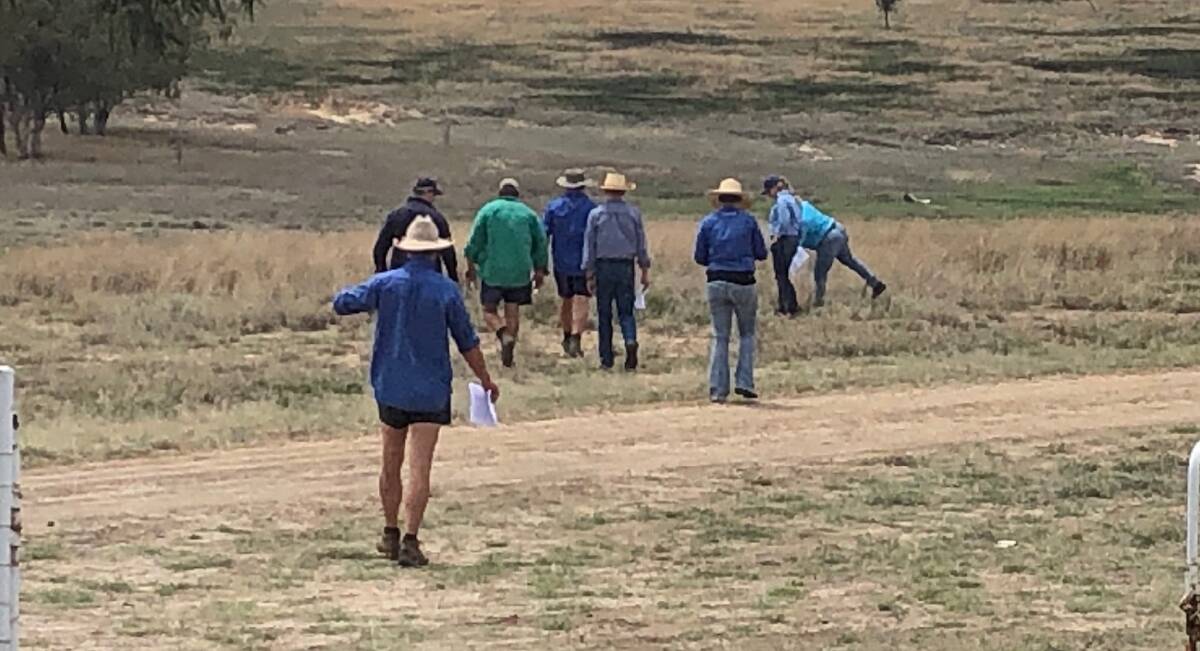 The field day at Hendon Park included a walk in the paddock to look at pasture quality and a discussion on the adaptability of rumen microflora in goats. Photo - Rhonda Toms-Morgan.