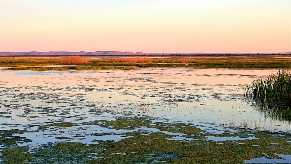 The floodplains at Legune are a valuable part of the station's operation, and a haven for many bird species.