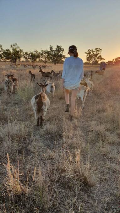 Kathryn Dawson says her research has been a wake-up call for goat producers. Picture supplied.