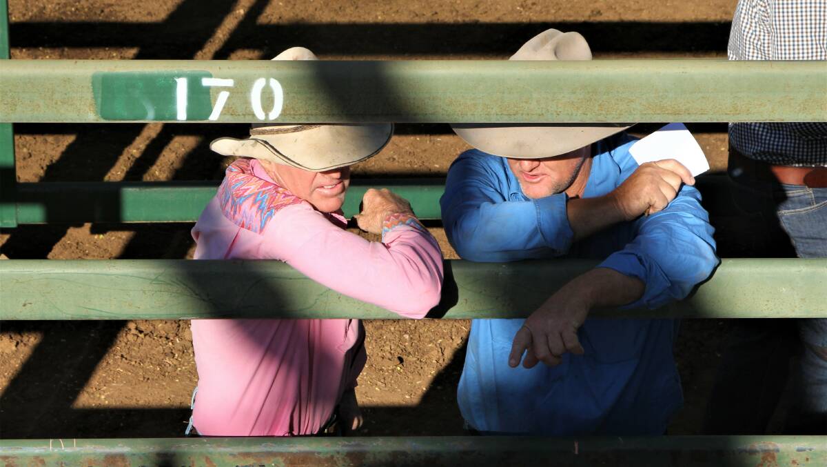 Lots of topics are raised along the saleyards rail.