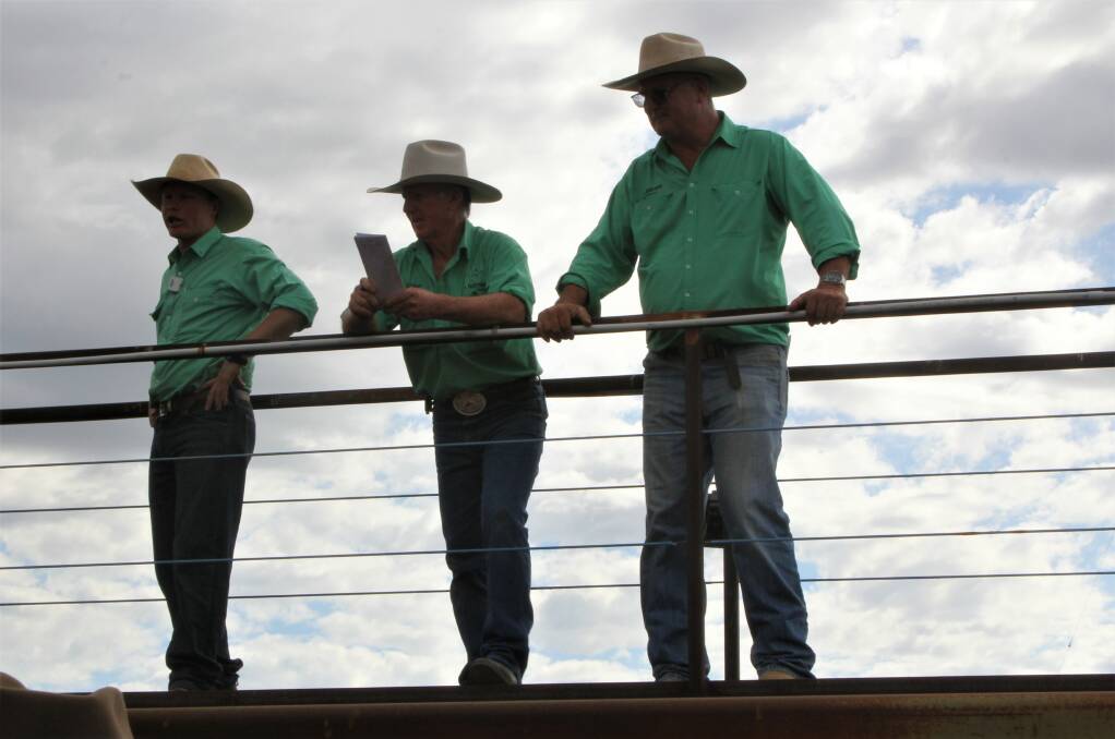 Balancing act - the evolution of cattle sales
