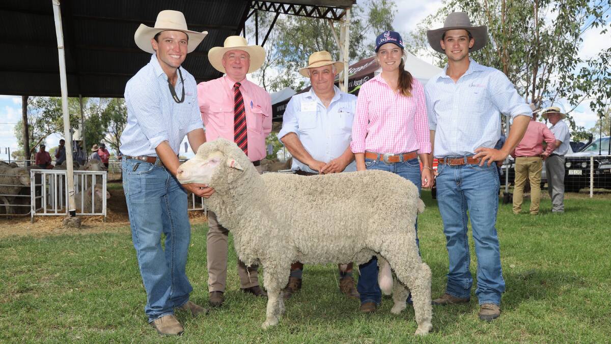 Elders selling agent Andrew Meara, second left, and vendor's agent Scott Thrift, AWN Narromine, and Charlie, Felicity and Lachie Brumpton, Jolly Jumbuck Poll Merinos, and the sale's top-priced ram. Picture by Sally Gall.