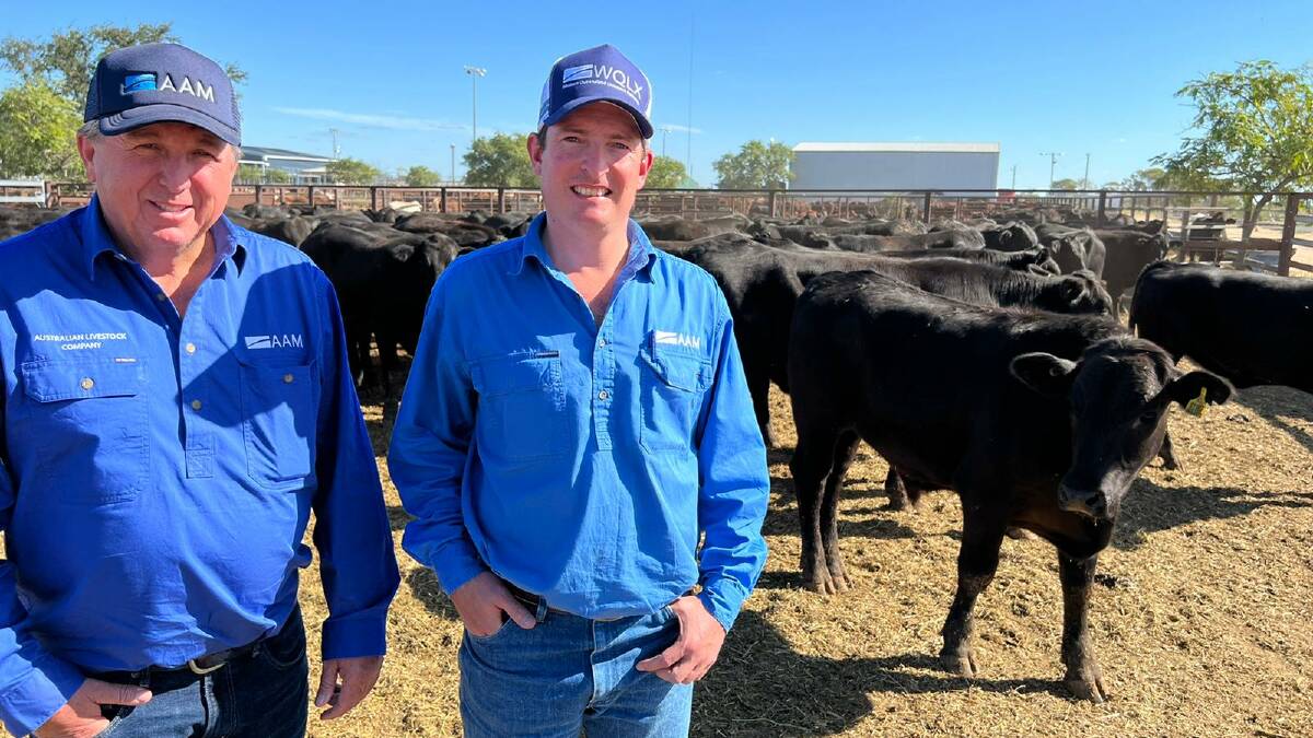 Nev Kelly, general manager, Australian Livestock Company, and Nathan Morris, AAM executive director pastoral operations, with 2000 head of Terrick Terrick Station steers that averaged 553c/kg. Picture: supplied