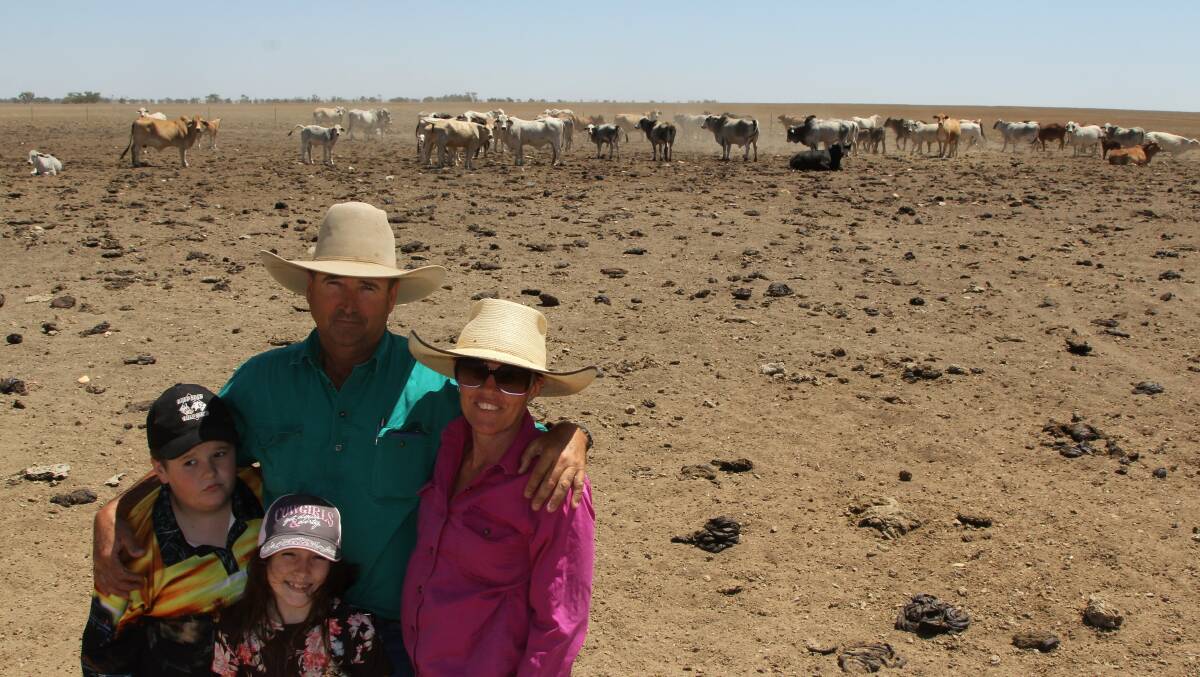 Alan, Stacy, Brodie and MacKenzie McConachy and some of the breeders they have left at Barenya, south of Hughenden.