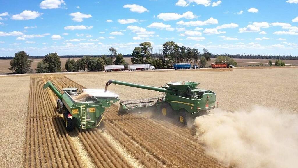 The Rockliff family at Dalby are celebrating after harvesting their best winter crop in 40 years.