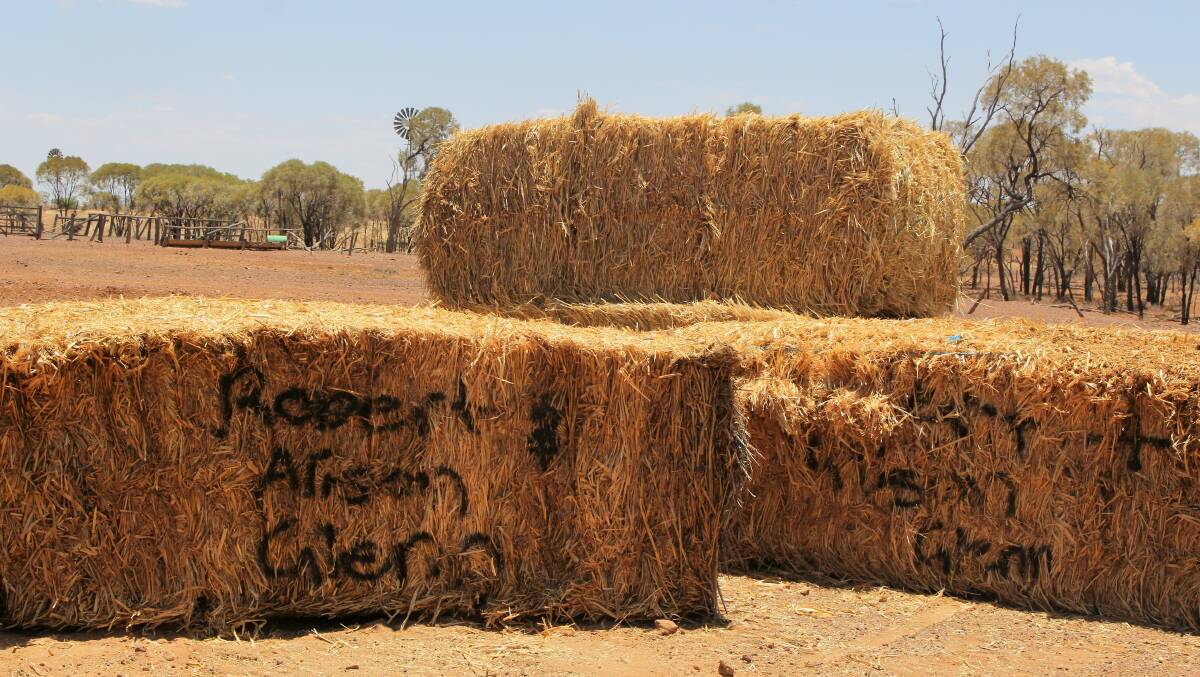 Hay bales donated by families in southern NSW find a welcome home at Cooma, west of Eromanga.