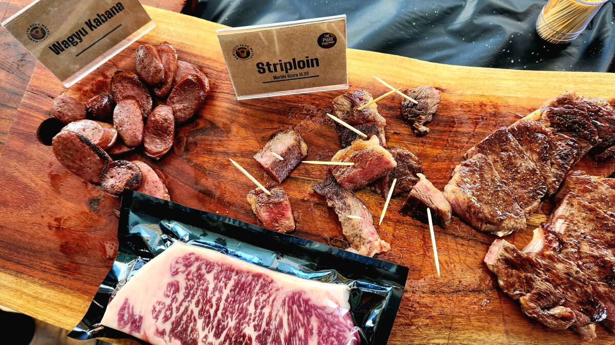 Hamilton Park Wagyu's retail brand, The Phat Wag, was busy cooking Wagyu samples for buyers at the Roma Saleyards. Picture: Sally Gall