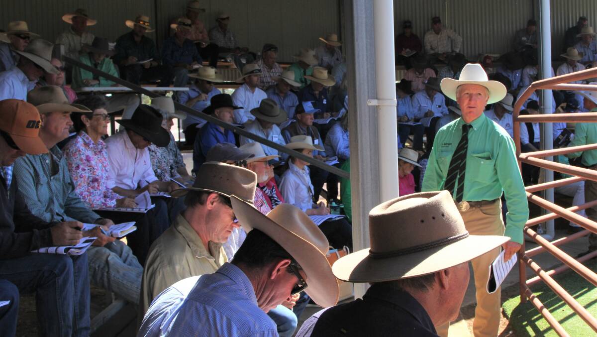 Terry Ryan was ready to pull in bids from all corners of the stands, as buyers intently studied their catalogues.