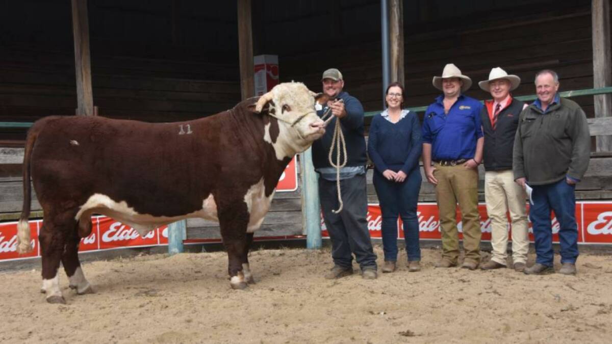 Hereford Supple Naked with Supple stud principals Ben and Leanne Rumbel; Ashley Estcourt, Nunniong Herefords, agent Andrew Meara and Bluey Commins, Ensay.
