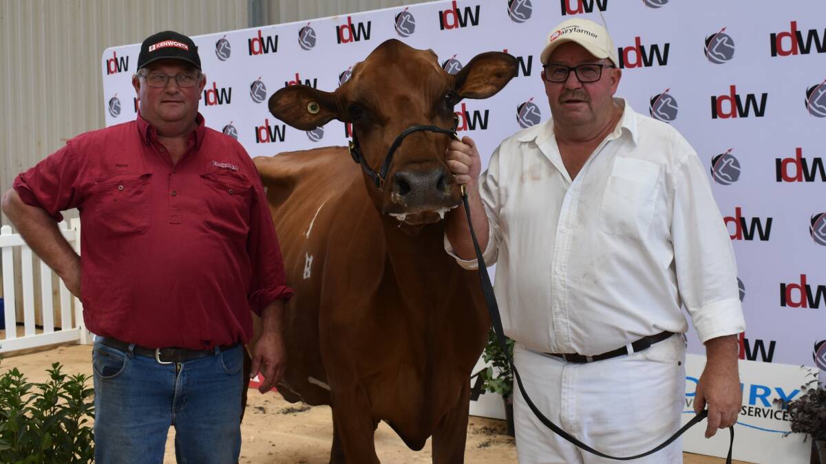 Grand champion Ayrshire cow, Geelunga Burdette Grace, with exhibitor, Peter Edmonds, Jalks Dairying, Naracoorte, SA, and leader Mark Patullo, Vic. Picture by Alastair Dowie
