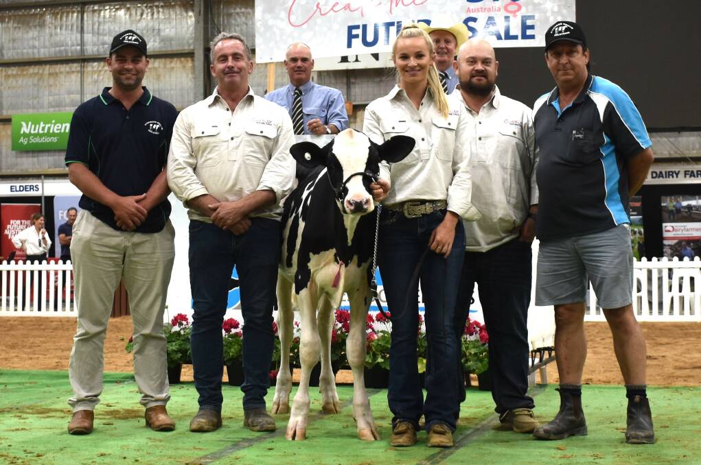 Selling for $22,000 was lot 2 Llandovery Lambda Shakira, with buyers Mitchell and Kevin Jones, Foster, Vic, flanking sale organiser Marty Glennan, ST Genetics, vendor Zoe Hayes, Girgarre, Vic, sale organiser Simon Tognola, and Dairy Livestock Services' Scott Lord and auctioneer Brian Leslie (at back). Picture by Alastair Dowie