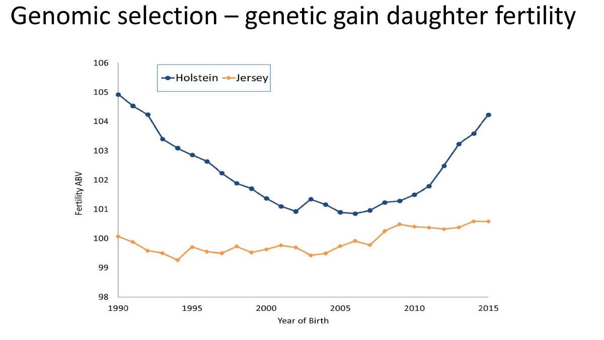 Genomic selection has turned around the decline in daughter fertility in Australian dairy herds.
