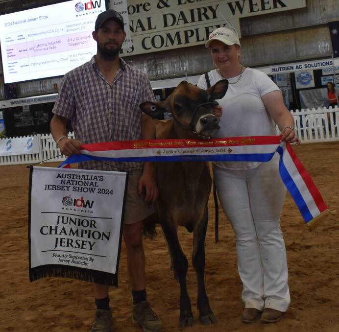 The junior champion Jersey, Heartland CC & Sprite, with breeders Hayden King and Michaela Thompson, Heartland Jerseys, Bamawm, Vic. Picture by Alastair Dowie