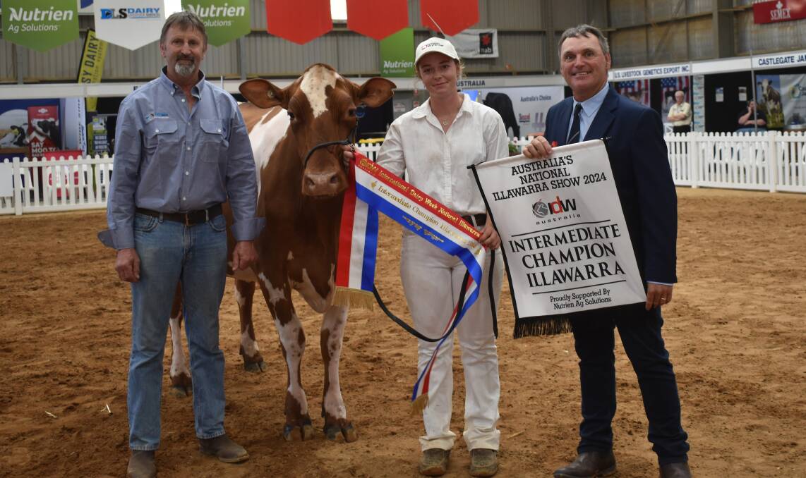 The 2024 International Dairy Week intermediate champion Illawarra cow Winjanna Touch Up Flighty with Ross Suares, Dairy Livestock Marketing Services, leader Jess Eagles and judge Brian Parker, Denman, NSW. Picture by Alastair Dowie