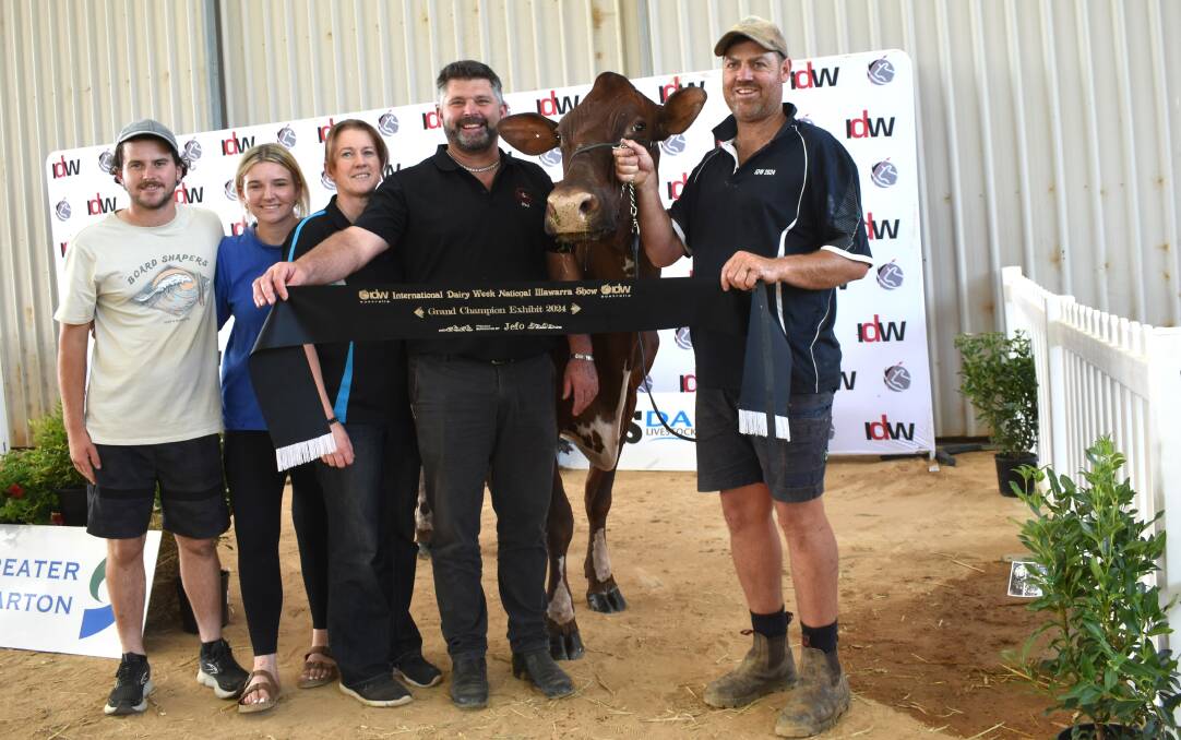 The 2024 International Dairy Week senior and grand champion Illawarra cow Ovensdale Scarlet 351 with owners Aiden, Mikaela, Sam and Phillip Daniel, Nathalia, Vic, and leader Scott Robinson. Picture by Alastair Dowie