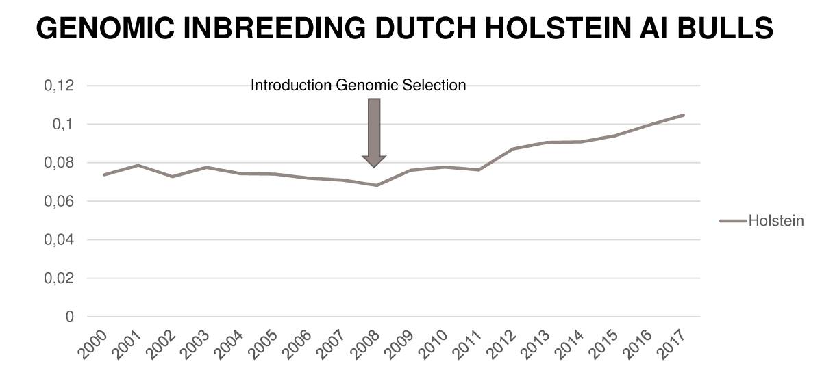 The rate of inbreeding in Dutch Holstein bulls has increased since the introduction of genomic selection.