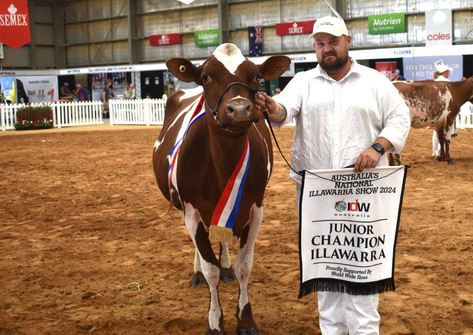The 2024 International Dairy Week junior champion Illawarra Eagle Park Theo Pamela 6157 shown by Leo McGrath and parents Eddie and Anne, with leader Simon Tognola. Picture by Alastair Dowie