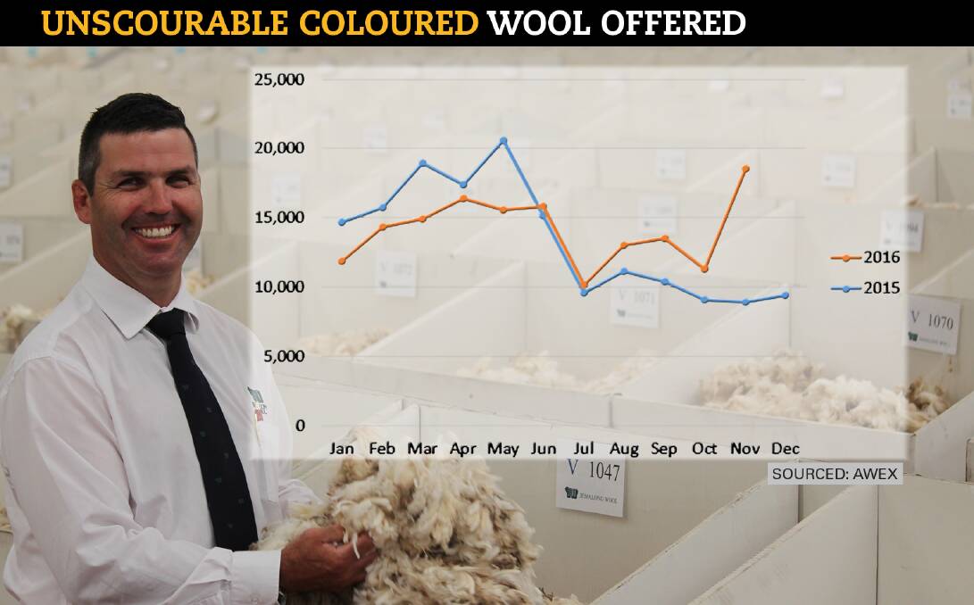 While wet conditions improved the national yield average, Jemalong Wool technical services David Quirk said there had been a spike in the number of unscourable coloured bales offered.